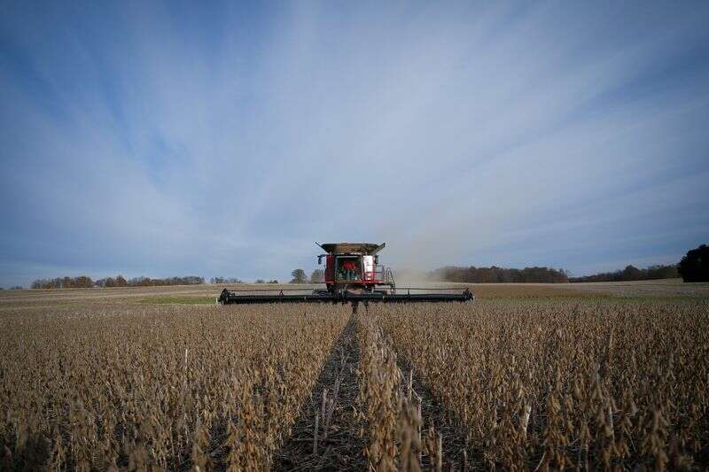 US-Bauern Auge Reihe von guten Pflanzmöglichkeiten nach der größten Getreide-Rallye seit Jahren reuters